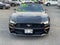 2023 Ford Mustang EcoBoost Premium Convertible